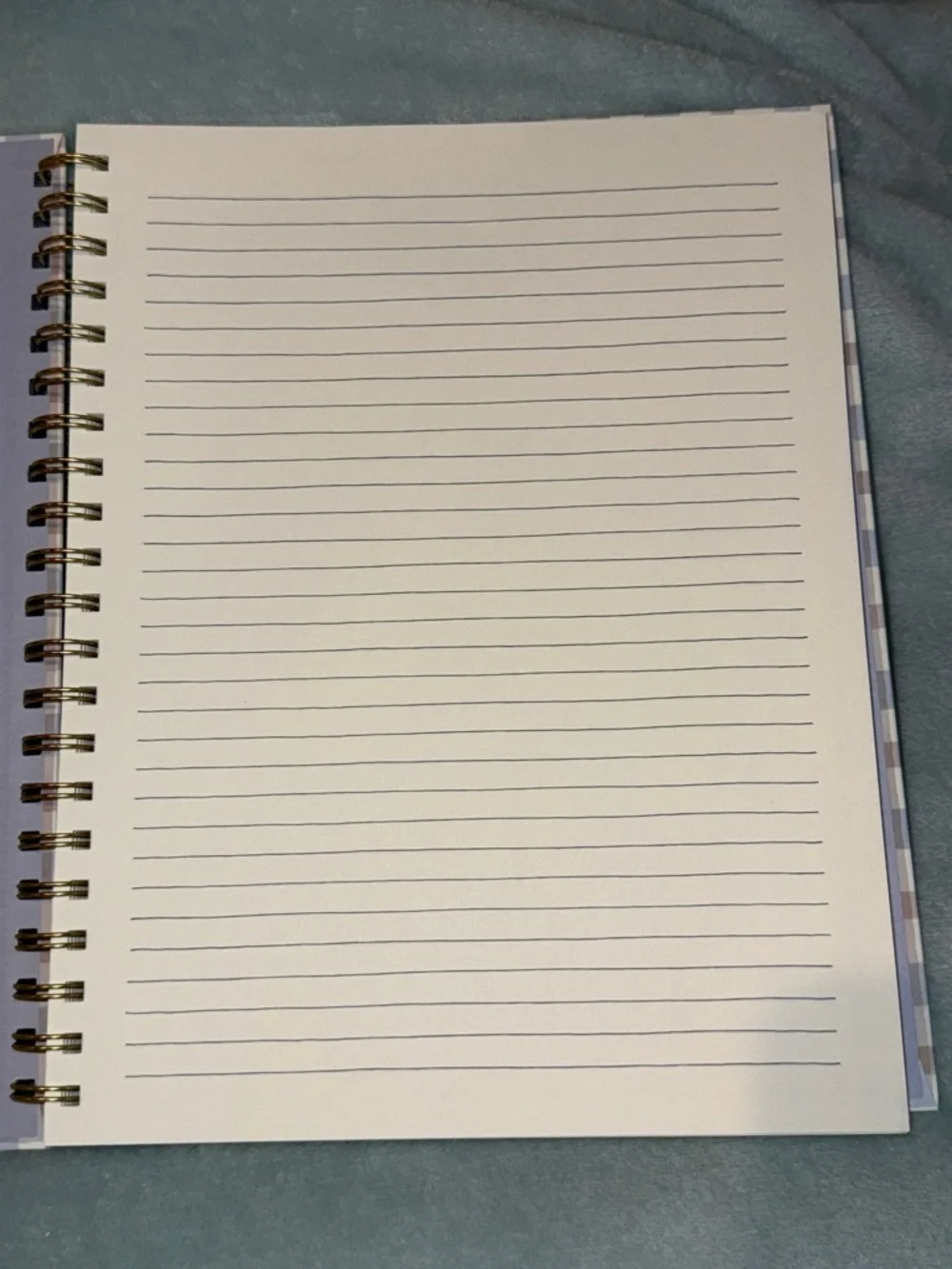 Rae Dunn Blue & Purple Plaid Spiral Notebook
